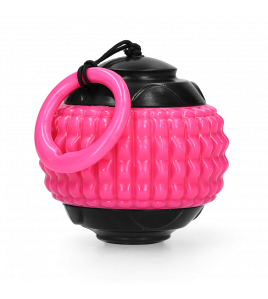 DOG COMETS BLAZAR JET ROZE