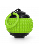 DOG COMETS BLAZAR JET GROEN DOG COMETS BLAZAR JET GROEN