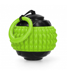 DOG COMETS BLAZAR JET GROEN