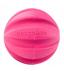DOG COMETS HALLEY ROZE