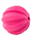 DOG COMETS HALLEY ROZE DOG COMETS HALLEY ROZE