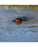 DOG COMETS BOBBER GROEN DOG COMETS BOBBER GROEN