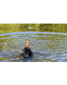 DOG COMETS BOBBER ROZE DOG COMETS BOBBER ROZE