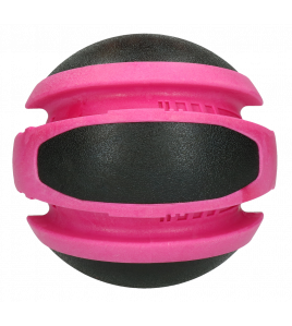 DOG COMETS PLANETS ROZE