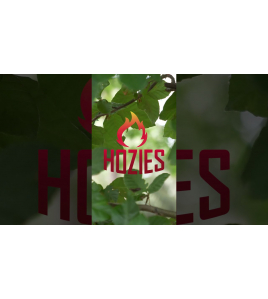 HOZIES NELLY NILES M