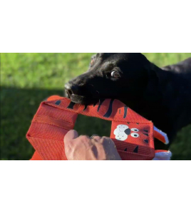 HOZIES OCTAGON TRIXY TRUMPET