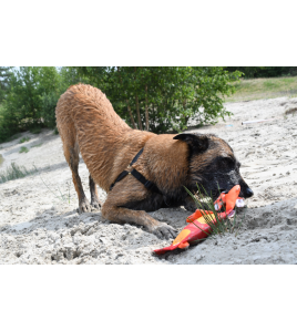 HOZIES JEFFREY JUNGLE S