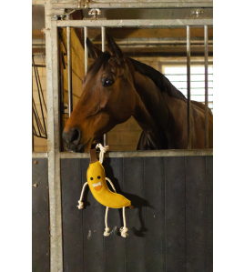 EXCELLENT HORSE FOODIE FRIENDS BANANA