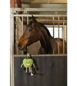 EXCELLENT HORSE FOODIE FRIENDS APPLE