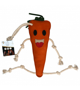 EXCELLENT HORSE FOODIE FRIENDS CARROT