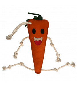 EXCELLENT HORSE FOODIE FRIENDS CARROT