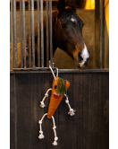 EXCELLENT HORSE FOODIE FRIENDS CARROT EXCELLENT HORSE FOODIE FRIENDS CARROT