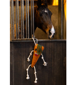 EXCELLENT HORSE FOODIE FRIENDS CARROT