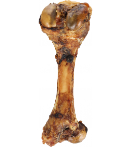 NATURE SNACK VARKENSBEEN 1ST