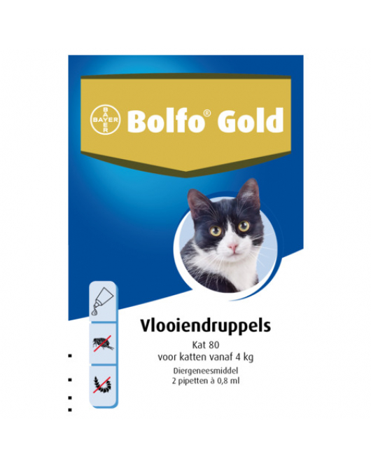 BOLFO GOLD KAT 80 2 STUKS VAN 4 KG