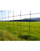 SCHAPENGAAS ZWAAR PRAIRIE CRAPAL4 140X11X15 50 M