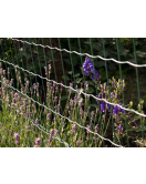 PARCO CRAPAL2 50,8X101,6 MM 120 CM X 25 M