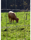 SCHAPENGAAS LICHT PRAIRIE CRAPAL2 200X22X15 50 M