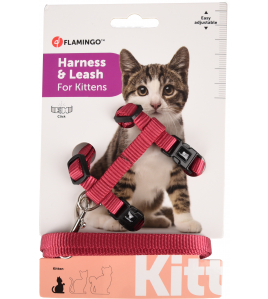 KITTENHARNAS + LIJN ZIGGI KERSENROOD 120CM 10MM KITTENHARNAS + LIJN ZIGGI KERSENROOD 120CM 10MM