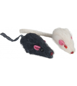 PS 2 MUIZEN OP KAART