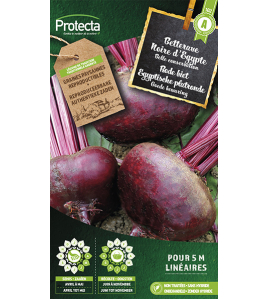 RODE BIET EGYPTISCHE PLATRONDE