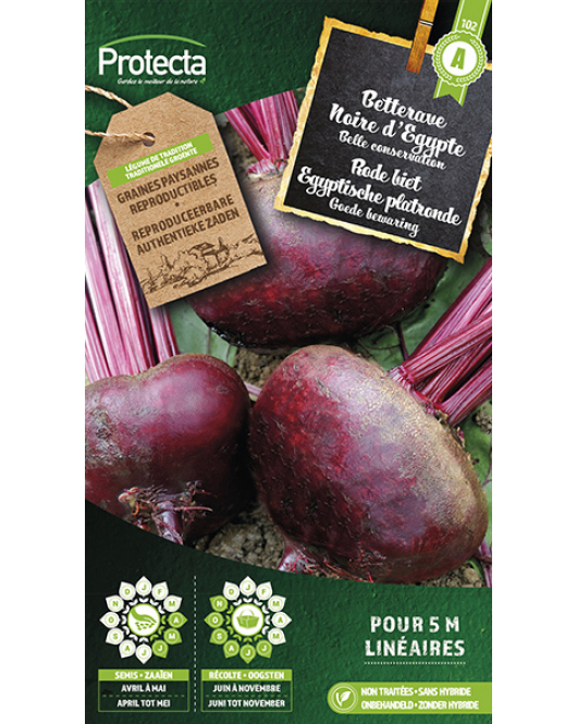 RODE BIET EGYPTISCHE PLATRONDE