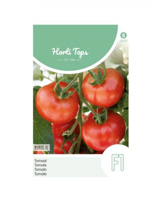 HT TOMATEN PYROS F1