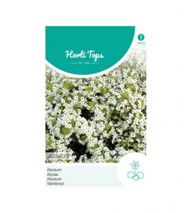 HT ALYSSUM SNEEUWKLEED