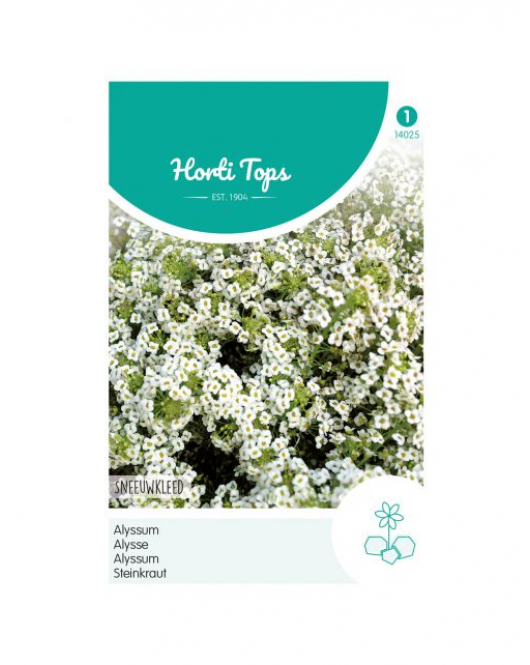 HT ALYSSUM SNEEUWKLEED