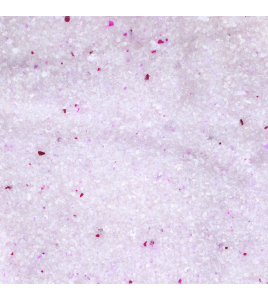 KATTENBAKVULLING SILICA FIJN KLONTEREND 5L KATTENBAKVULLING SILICA FIJN KLONTEREND 5L