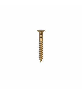 HOMEFIX HOUTSCHROEF MESSING BLANK PK ZS 2.5X20 (35)