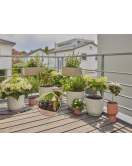 START SET VOOR BALKON