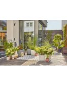 START SET VOOR TERRAS START SET VOOR TERRAS