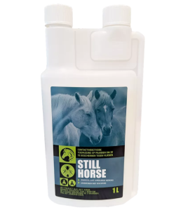STILL HORSE 1L NL