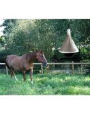 DAZENVAL TAONX -ECO- DAZENVAL TAONX -ECO-
