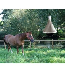 DAZENVAL TAONX -ECO-