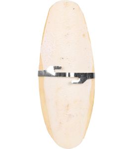 SEPIA SCHELP BECCO 15CM PREMIUM