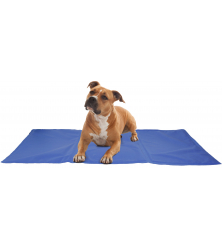 KOELMAT FROSTY BLAUW XXL 120X80CM