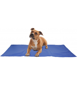 KOELMAT FROSTY BLAUW XXL 120X80CM