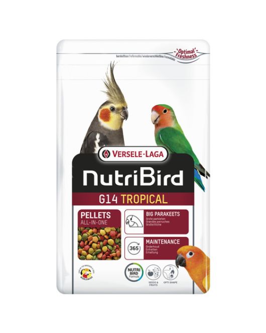 VERSELE-LAGA NUTRIBIRD G14 TROPICAL GROTE PARKIET 1 KG VERSELE-LAGA NUTRIBIRD G14 TROPICAL GROTE PARKIET 1 KG