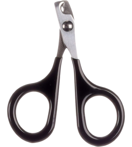 NAGELSCHAAR KNAAGDIER LIDY