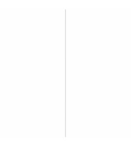 AFDEKPROFIEL ALU 2X20MM NATUREL 100CM