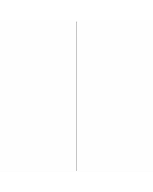 AFDEKPROFIEL ALU 2X20MM NATUREL 100CM