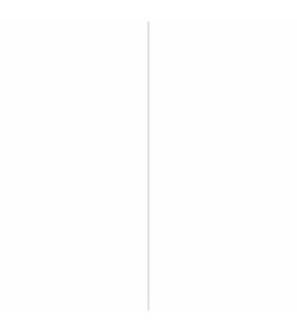 AFDEKPROFIEL ALU 2X30MM NATUREL 100CM
