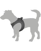 HOND HARNAS STEP&GO BENTO ROOD XS 28-30CM 30-32CM HOND HARNAS STEP&GO BENTO ROOD XS 28-30CM 30-32CM