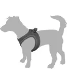 HOND HARNAS STEP&GO BENTO ROOD XXS 22-23CM 24-25CM