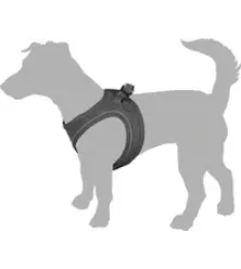 HOND HARNAS STEP&GO BENTO ROOD XXS 22-23CM 24-25CM