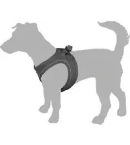 HOND HARNAS STEP&amp;GO BENTO ROOD XXS 22-23CM 24-25CM