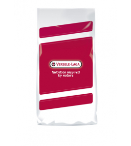 VERSELE-LAGA ZONNEBLOEMPITTEN GESTREEPT 12,5 KG GEKUIST VERSELE-LAGA ZONNEBLOEMPITTEN GESTREEPT 12,5 KG GEKUIST