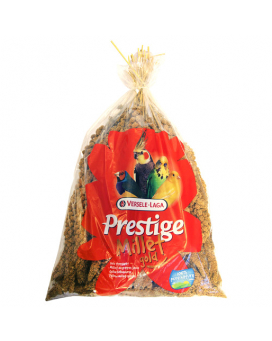 VERSELE-LAGA PRESTIGE TROSGIERST 1 KG